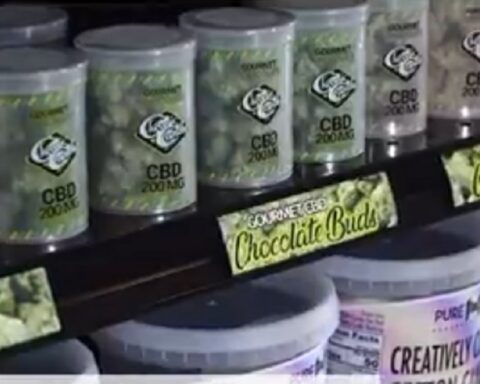 ТРАМП ЗАПАЛИО БЕРЗУ: Акције канабиса лете у небо после поруке о "револуцији у лечењу старијих"