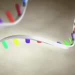 ФДА покренула истрагу: ДНК контаминација у ковид вакцинама - научници упозоравају на озбиљне ризике