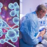 Гљивица Ц. аурис се експресно шири по европским болницама