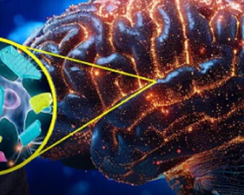 Све о микропластици: Најновија истраживања и како да се сачувате