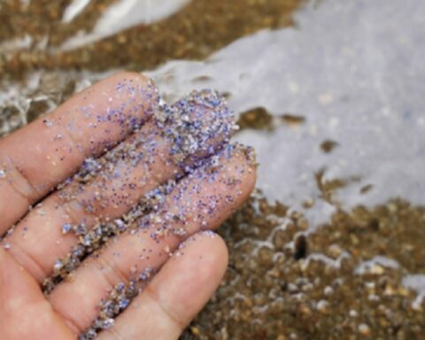 Микропластика тихо убија: Повећава ризик од срчаног удара и шлога – ево како да се заштитите