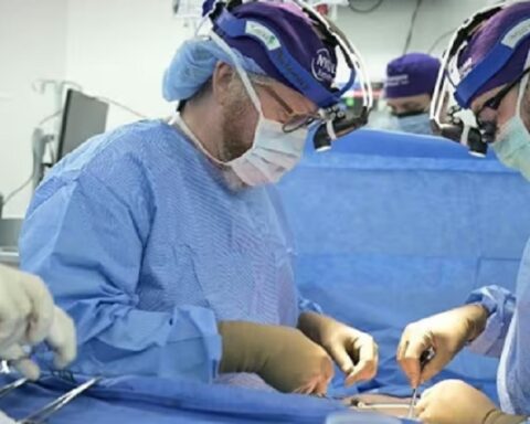 Људи у коми постају експериментални кунићи за органе генетски модификованих свиња