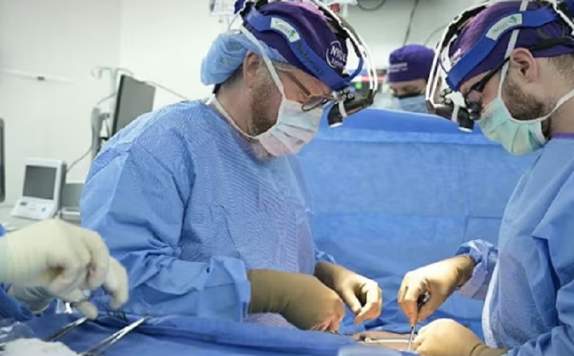 Људи у коми постају експериментални кунићи за органе генетски модификованих свиња