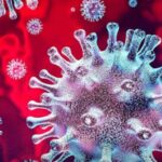 СЗО упозорава: Вирус са 70% смртности могао би покренути нову пандемију - „Болест Икс“