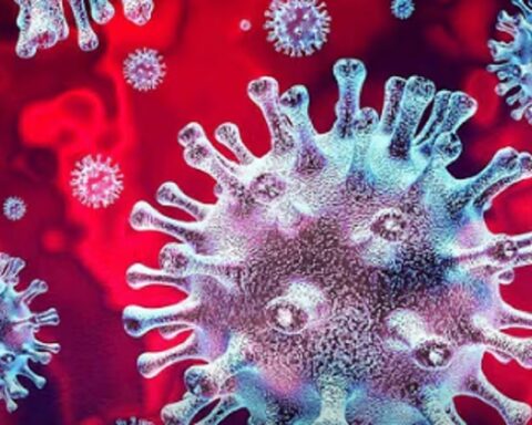 СЗО упозорава: Вирус са 70% смртности могао би покренути нову пандемију - „Болест Икс“