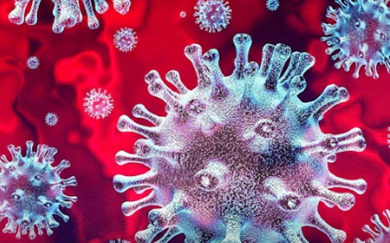 СЗО упозорава: Вирус са 70% смртности могао би покренути нову пандемију - „Болест Икс“