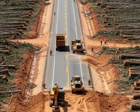 УН СЕЧЕ АМАЗОН ДА БИ СПАСИЛИ ПЛАНЕТУ: Посечено 100.000 стабала због самита о „климатским променама“