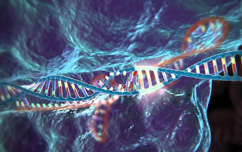 Дигитална Пандорина кутија: Како вештачка интелигенција прелази биосигурносне баријере и отвара пут за нове претње