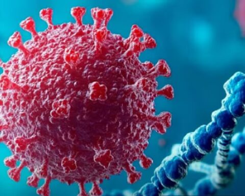 Студија из Лансета упозорава: До 2050. рак ће убити 75% више људи широм света