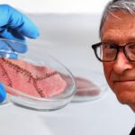 Гејтсова превара се распада: Фирма која производи вештачко месо пропала после слома акција