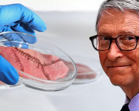 Гејтсова превара се распада: Фирма која производи вештачко месо пропала после слома акција