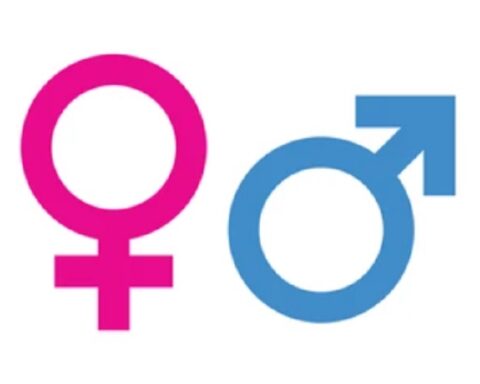 Швајцарац иде у затвор због објаве на друштвеним мрежама: „Постоје само два пола“