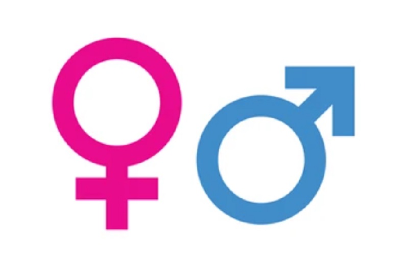 Швајцарац иде у затвор због објаве на друштвеним мрежама: „Постоје само два пола“