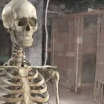 ЛУДИЛО! Швајцарска послала човека у затвор јер је рекао да се прегледом скелета може утврдити пол