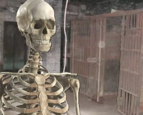 ЛУДИЛО! Швајцарска послала човека у затвор јер је рекао да се прегледом скелета може утврдити пол