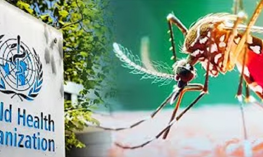 СЗО УПОЗОРАВА: Вирус чикунгуња се враћа, опасност од ширења на још више земаља