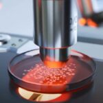 Америчка војска васкрсава древне арктичке бактерије генетски повезане са смртоносним ботулинум токсином