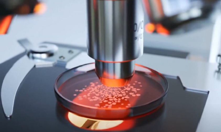 Америчка војска васкрсава древне арктичке бактерије генетски повезане са смртоносним ботулинум токсином