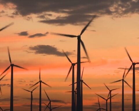 Зелена превара: Како ветроелектране уништавају екосистем и гуше природу