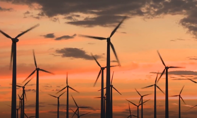 Зелена превара: Како ветроелектране уништавају екосистем и гуше природу