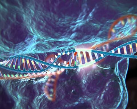 Елите Силицијумске долине улажу милионе у забрањена истраживања генетички модификоване деце