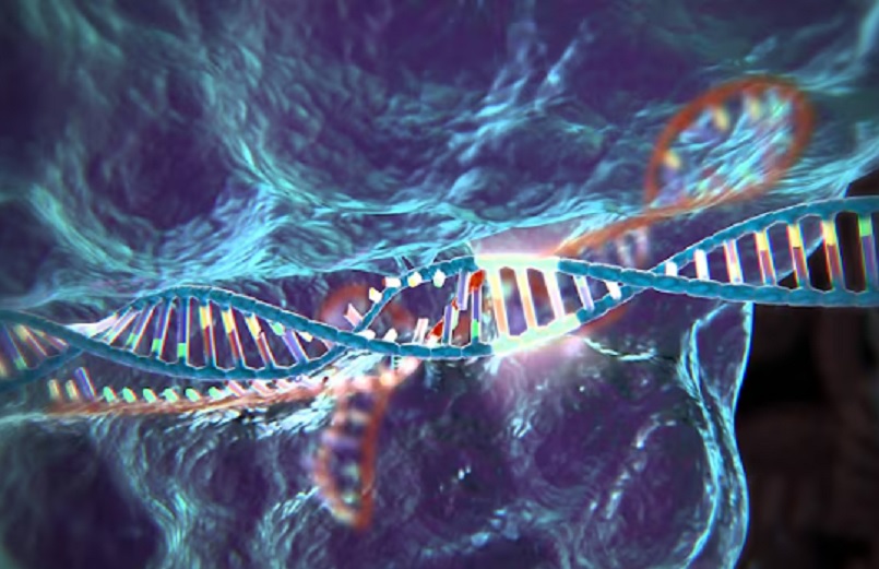 Елите Силицијумске долине улажу милионе у забрањена истраживања генетички модификоване деце