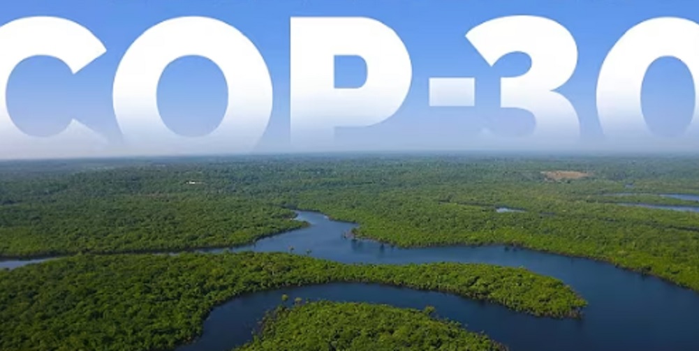 Климатски циркус КОП30: Вашар капитала и моралног прања савести