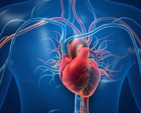 Микропластика подстиче болести срца: Ново истраживање узнемирило научнике