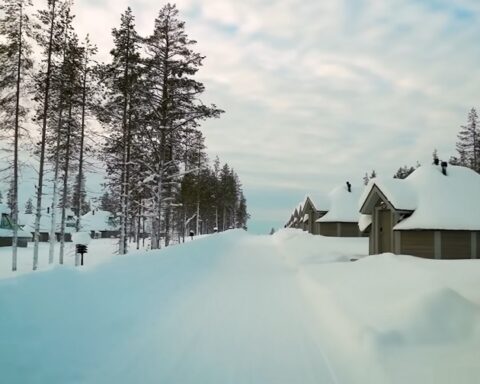 Хладна, зелена Европа: Шта се дешава кад идеологија победи физику