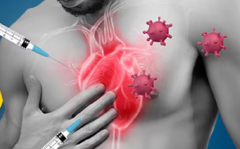 СТЕНФОРД ОТКРИВА МЕХАНИЗАМ: Зашто мРНК вакцине против ковида могу да изазову миокардитис