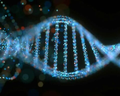 Zaboravite „lošu genetiku“: Naučnici otkrivaju da hrana, um i navike mogu bukvalno izmeniti vaše gene i zaustaviti starenje