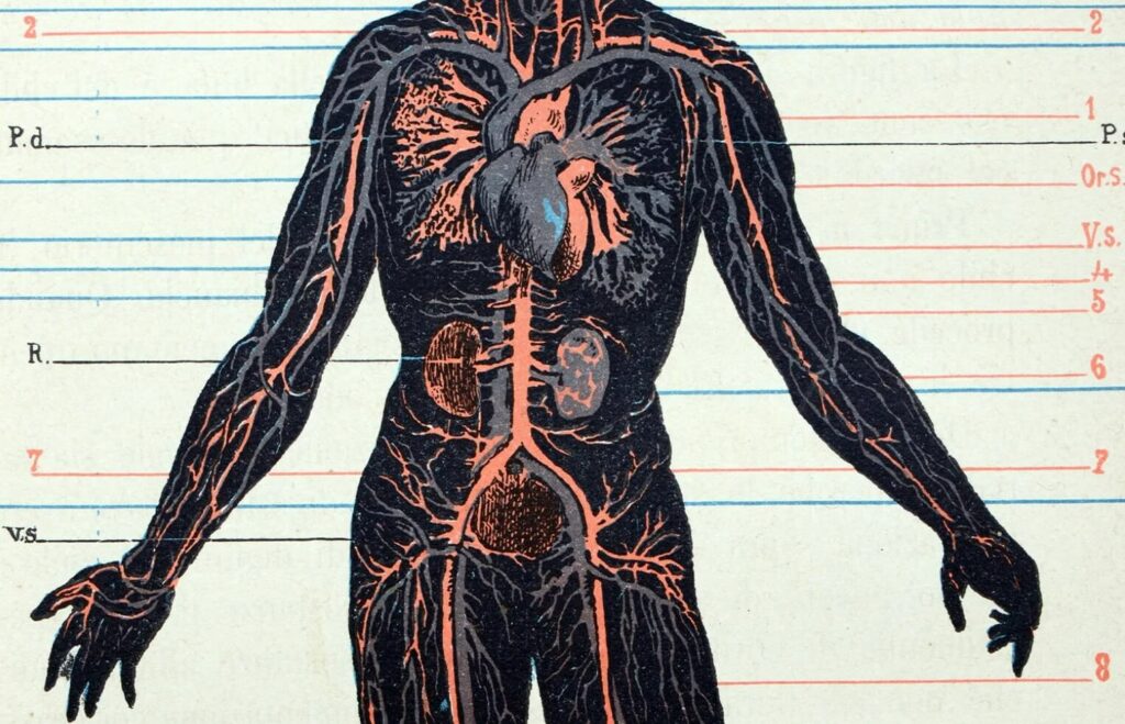 Tihi otrov u svakom domu: „večne hemikalije“ uništavaju jetru dece i utrostručuju rizik od teških bolesti