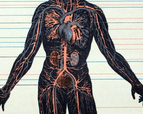 Tihi otrov u svakom domu: „večne hemikalije“ uništavaju jetru dece i utrostručuju rizik od teških bolesti