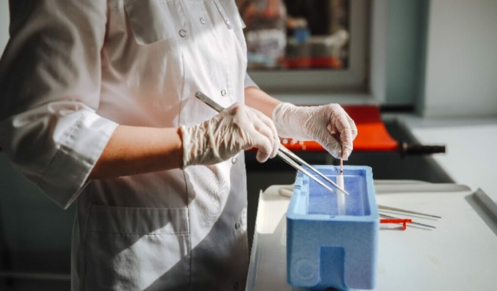 Vrli Novi Svet uživo: Laboratorije na Zapadu omogućavaju roditeljima da biraju genetiku svog deteta pre rođenja