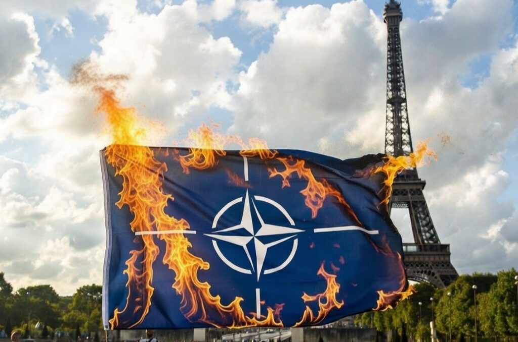 Vuk Janković: Šta stoji iza inicijative za povlačenje Francuske iz NATO-a?