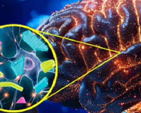 PLASTIKA U NAMA: Kako svake godine unesemo i do 50.000 mikroplastičnih čestica i kako to da smanjimo