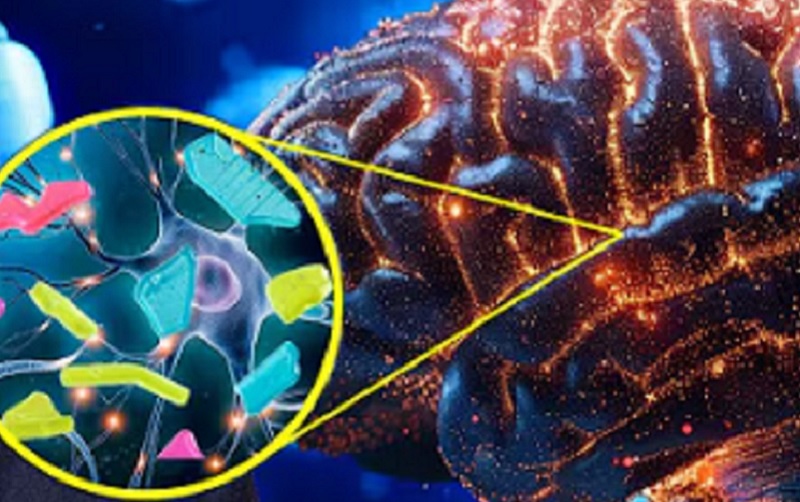 PLASTIKA U NAMA: Kako svake godine unesemo i do 50.000 mikroplastičnih čestica i kako to da smanjimo