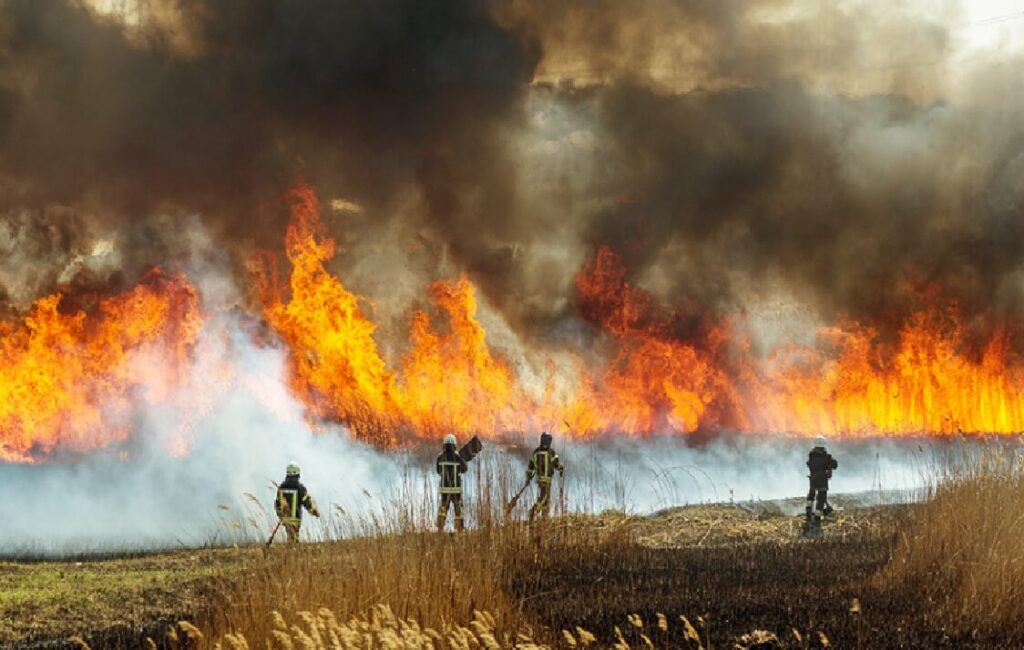 PATAGONIJA U PLAMENU: POŽARI HARAJU, IZRAELCI OPTUŽENI ZA PODMETANJE!