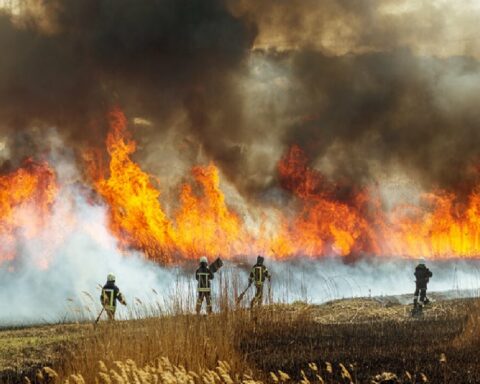 PATAGONIJA U PLAMENU: POŽARI HARAJU, IZRAELCI OPTUŽENI ZA PODMETANJE!