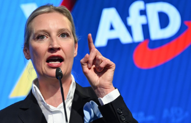 EU manipuliše anketama da bi srušila Orbana, tvrdi nemačka opoziciona liderka