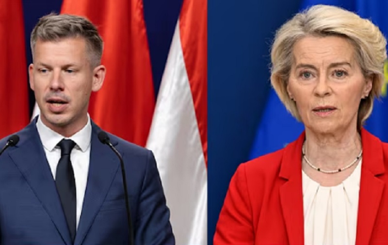 Fon der Lajen imuna na demokratiju: Lider AfD tvrdi da šef EU ne može da bude smenjen voljom naroda