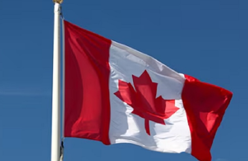 Kanadski univerzitet neće da zapošljava belce: „Bez hetero muškaraca belaca“ u konkursima za profesore