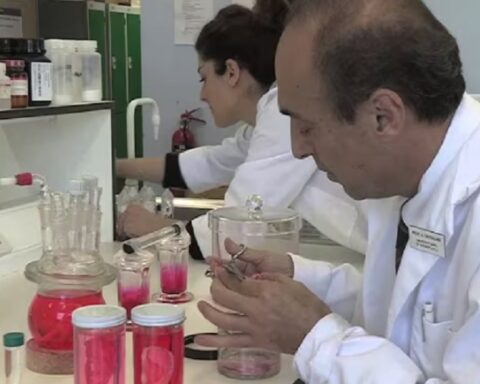 Morbidno: Naučnici žele da uzgajaju „ljudska tela bez glave“ zbog organa