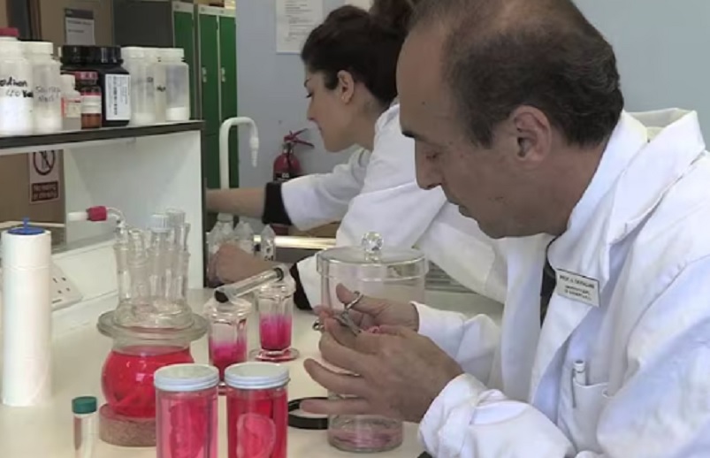 Morbidno: Naučnici žele da uzgajaju „ljudska tela bez glave“ zbog organa