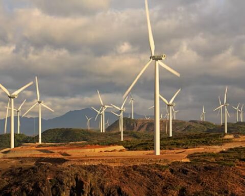 Vetroparkovi pod lupom: Skrivena cena „zelene energije“