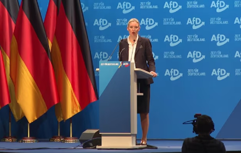 Traže zabranu najjače stranke u Nemačkoj: Soroševa organizacija optužila AfD da krši ustav