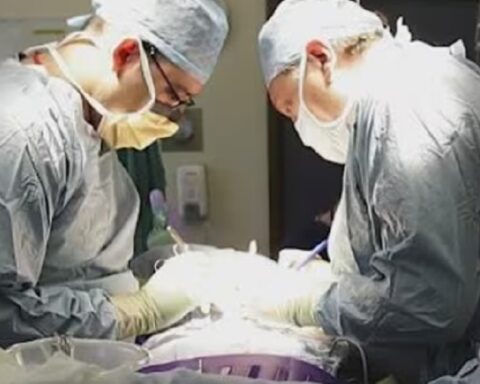 Doniranje organa od živih pacijenata u SAD? Vlasti pokrenule istragu