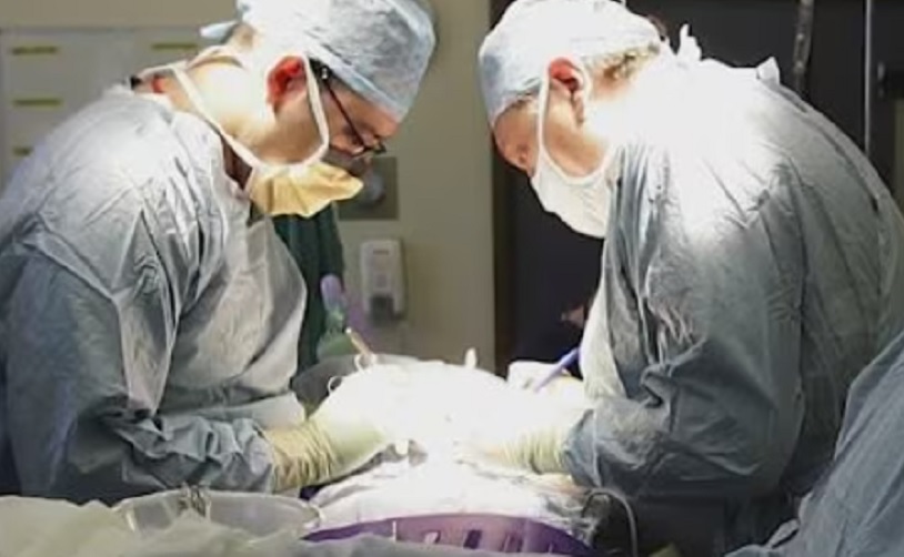 Doniranje organa od živih pacijenata u SAD? Vlasti pokrenule istragu